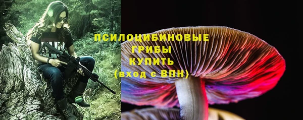 прущие крисы Володарск