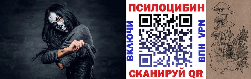 маркетплейс как зайти  Камышлов  Псилоцибиновые грибы Psilocybe 